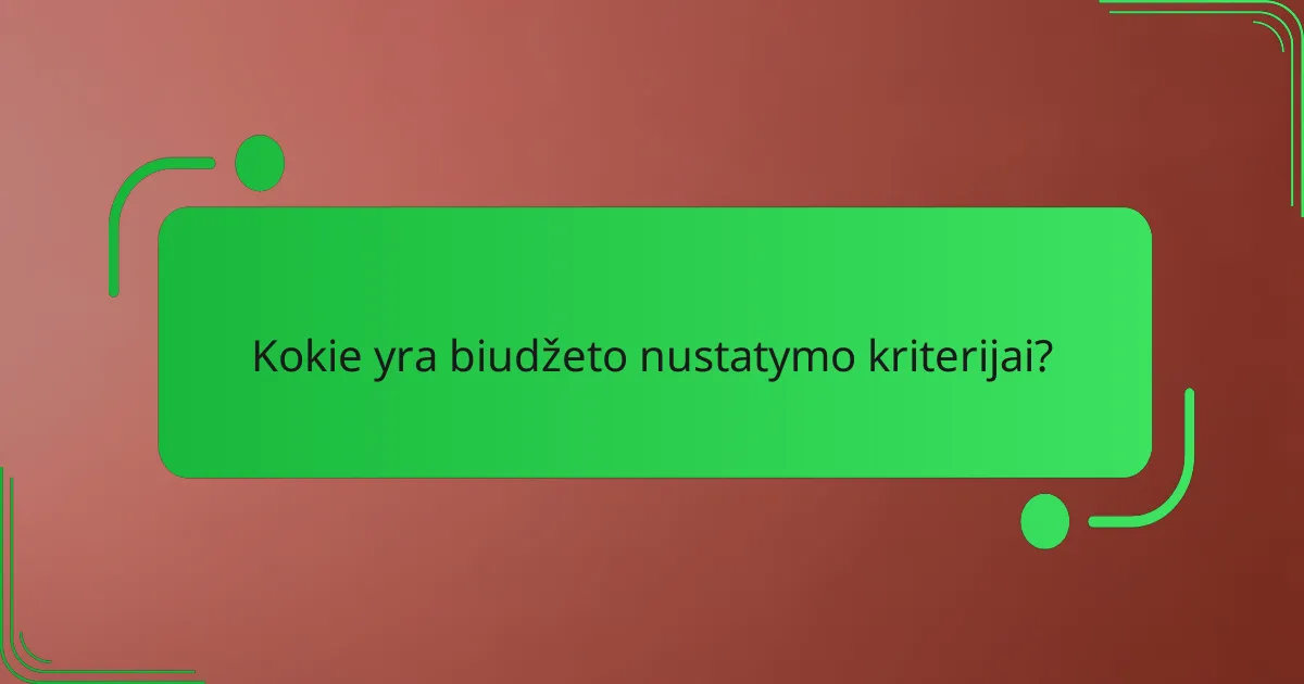 Kokie yra biudžeto nustatymo kriterijai?