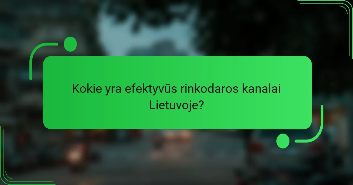 Kokie yra efektyvūs rinkodaros kanalai Lietuvoje?
