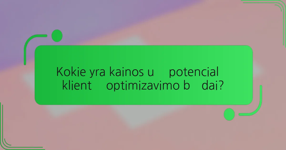 Kokie yra kainos už potencialų klientą optimizavimo būdai?