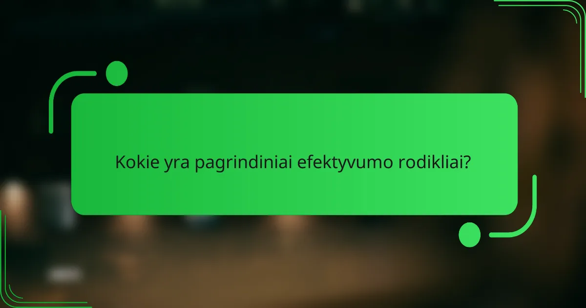 Kokie yra pagrindiniai efektyvumo rodikliai?