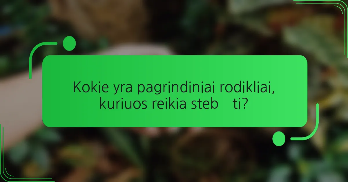 Kokie yra pagrindiniai rodikliai, kuriuos reikia stebėti?