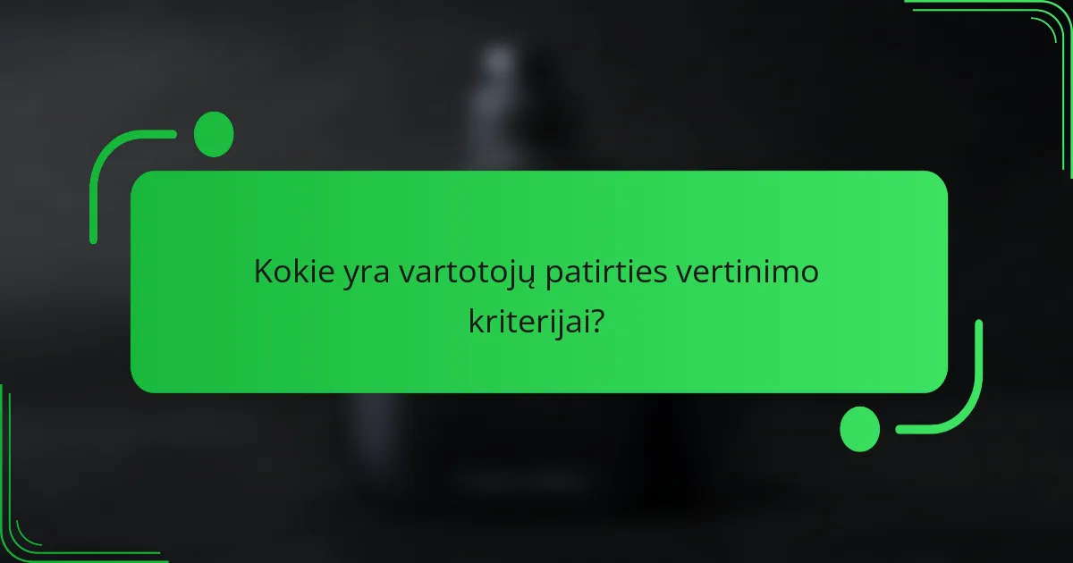 Kokie yra vartotojų patirties vertinimo kriterijai?