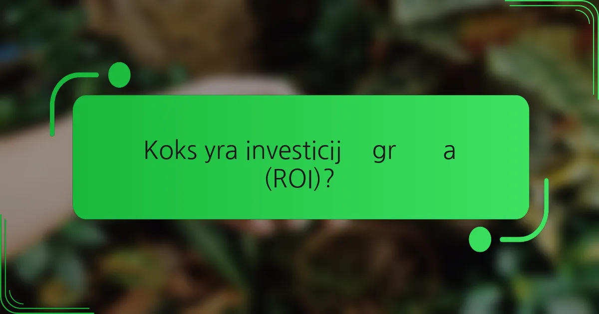 Koks yra investicijų grąža (ROI)?
